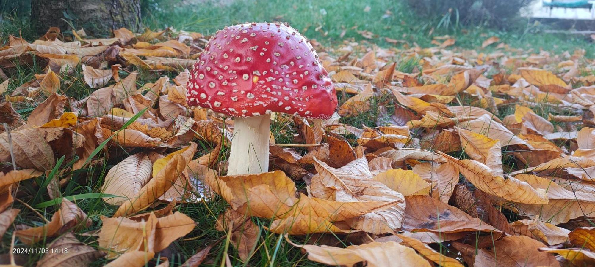 Cal Pastor De Planes Lejlighed Planoles Eksteriør billede